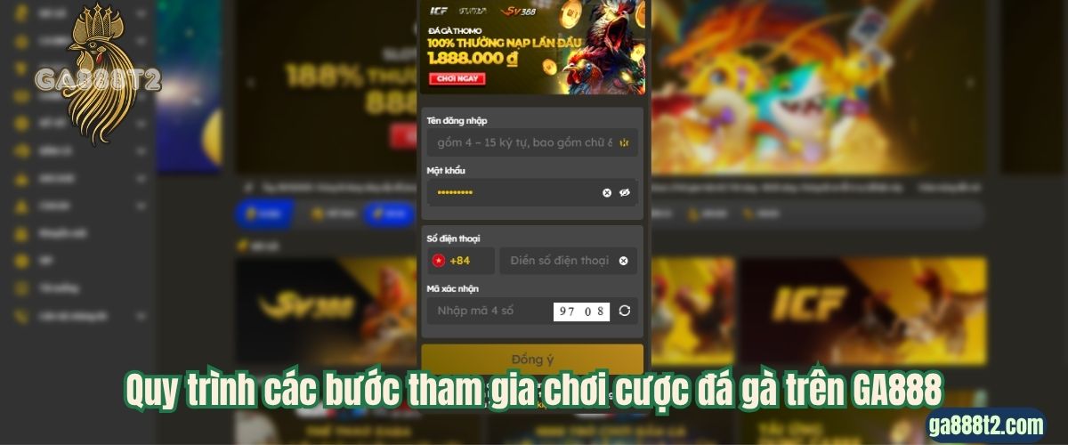Quy trình các bước tham gia chơi cược đá gà trên GA888