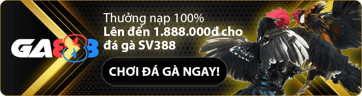 Vòng quay miễn phí Đã thêm vào tài khoản của bạn 