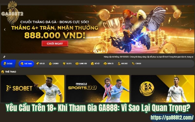 Yêu Cầu Trên 18+ Khi Tham Gia GA888: Vì Sao Lại Quan Trọng?